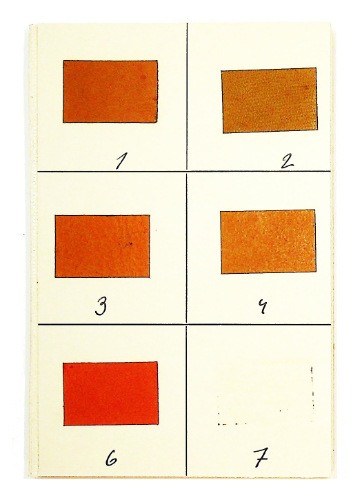 FARBEN Ed. Notebook 23/28